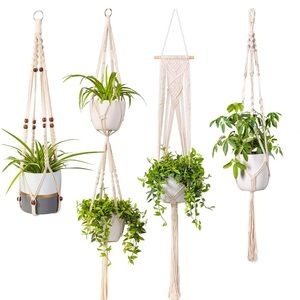 Plant Hanger
